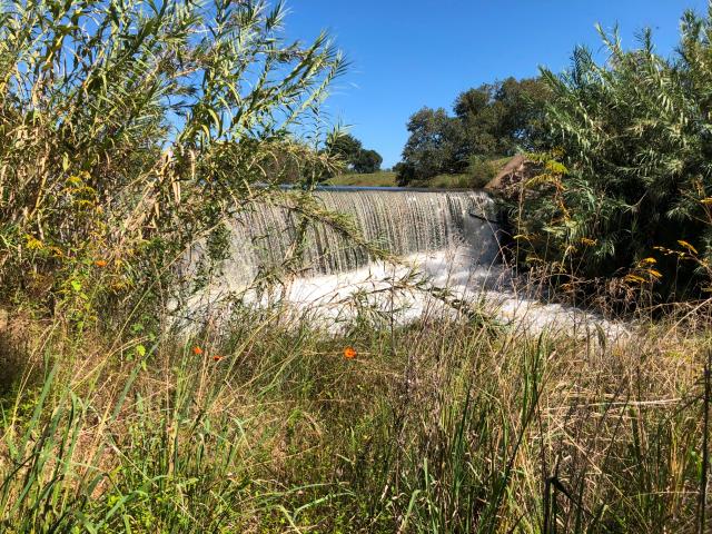 Commercial Property for Sale in Scheerpoort A H North West